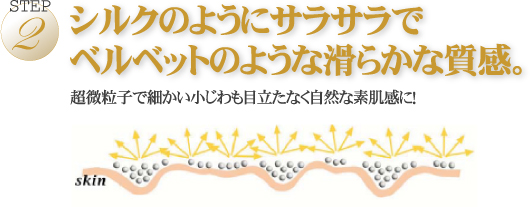 STEP2 ���륯�Τ褦�˥��饵��ǥ٥�٥åȤΤ褦�ʳ�餫�ʼ�����