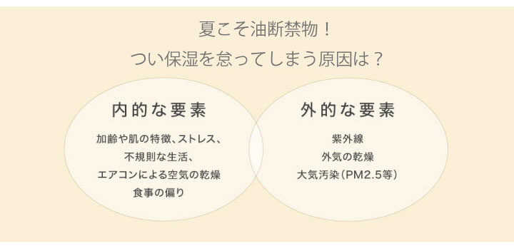 BBCC夏