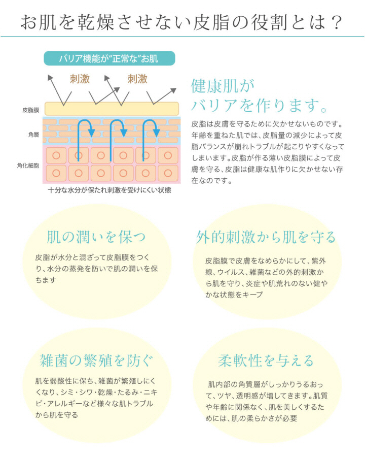BBCC夏