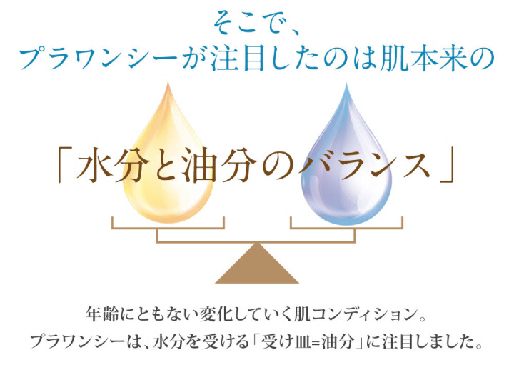 BBCC夏