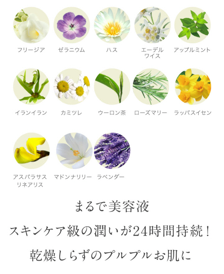 BBCC夏