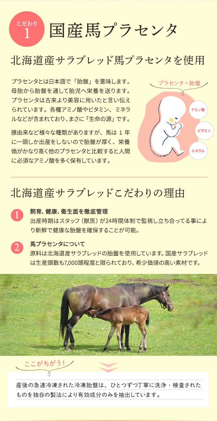 国産馬プラセンタ